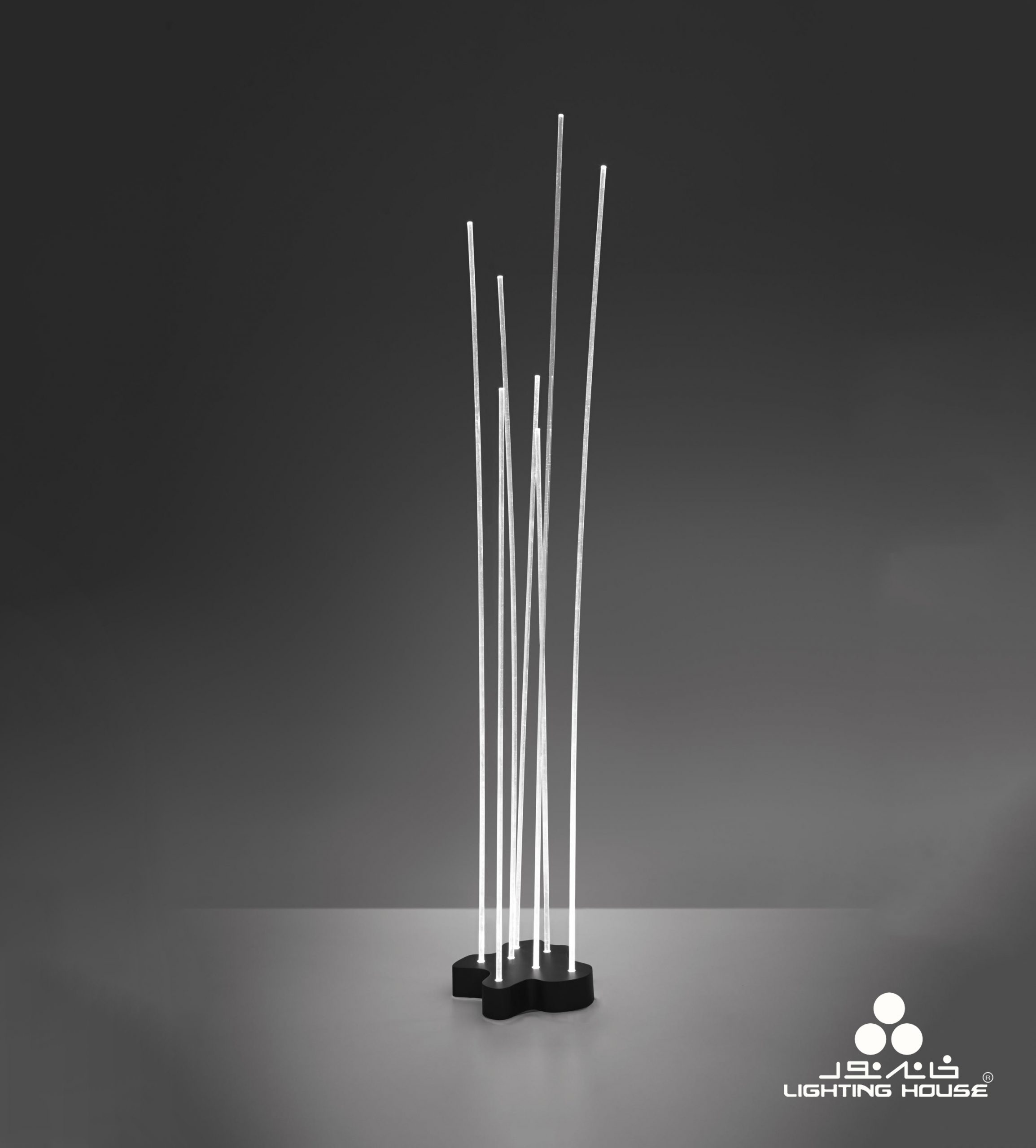 Reeds Outdoor – Lighting House